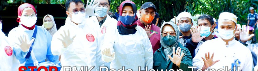 Cegah PMK, Dinas Perikanan dan Peternakan Berikan Vaksin Untuk Hewan Ternak di Nurul Iman